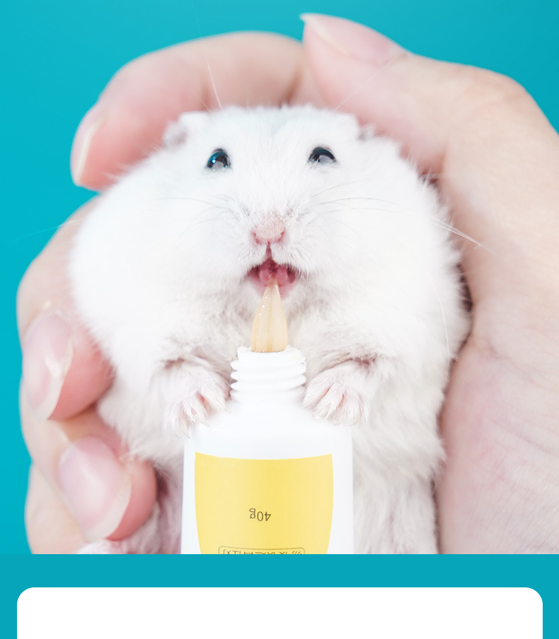 [HOÀN TIỀN 10%]Gel dinh dưỡng Jonasanty đủ vị cho hamster, thỏ...