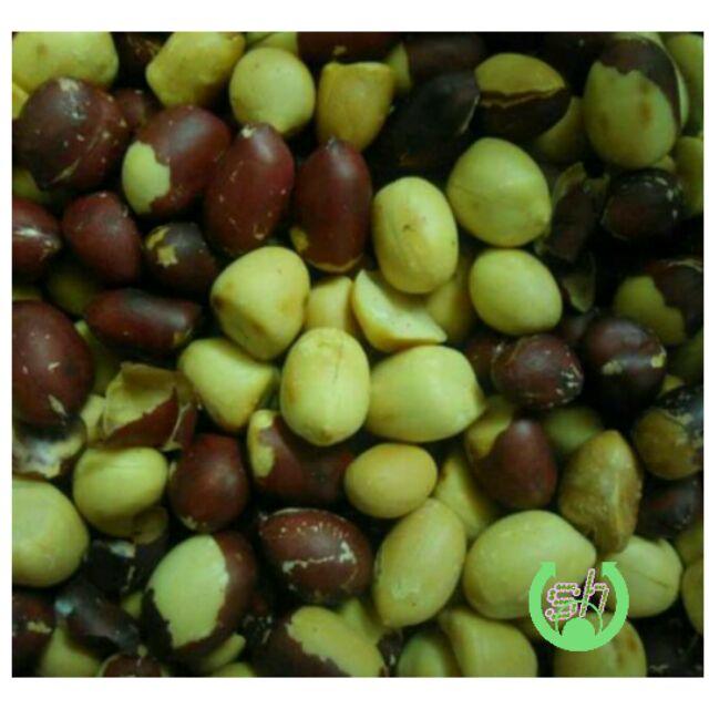 [HCM]Lạc đỏ/ đậu phộng đỏ - 250gr - lạc sống