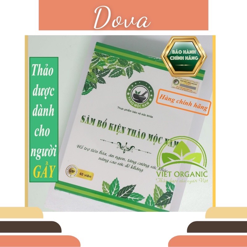 TĂNG CÂN SÂM BỔ KIỆN THẢO MỘC NAM