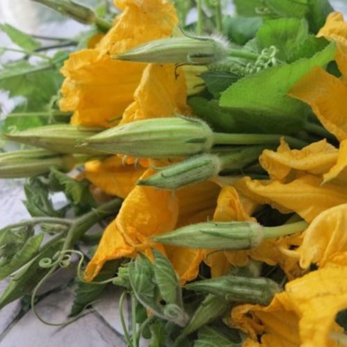 Combo 5 Túi Hạt Giống Bí Siêu Nụ F1. Mỗi Túi 10 Gram - Năng Xuất Cao- Dễ Trồng.