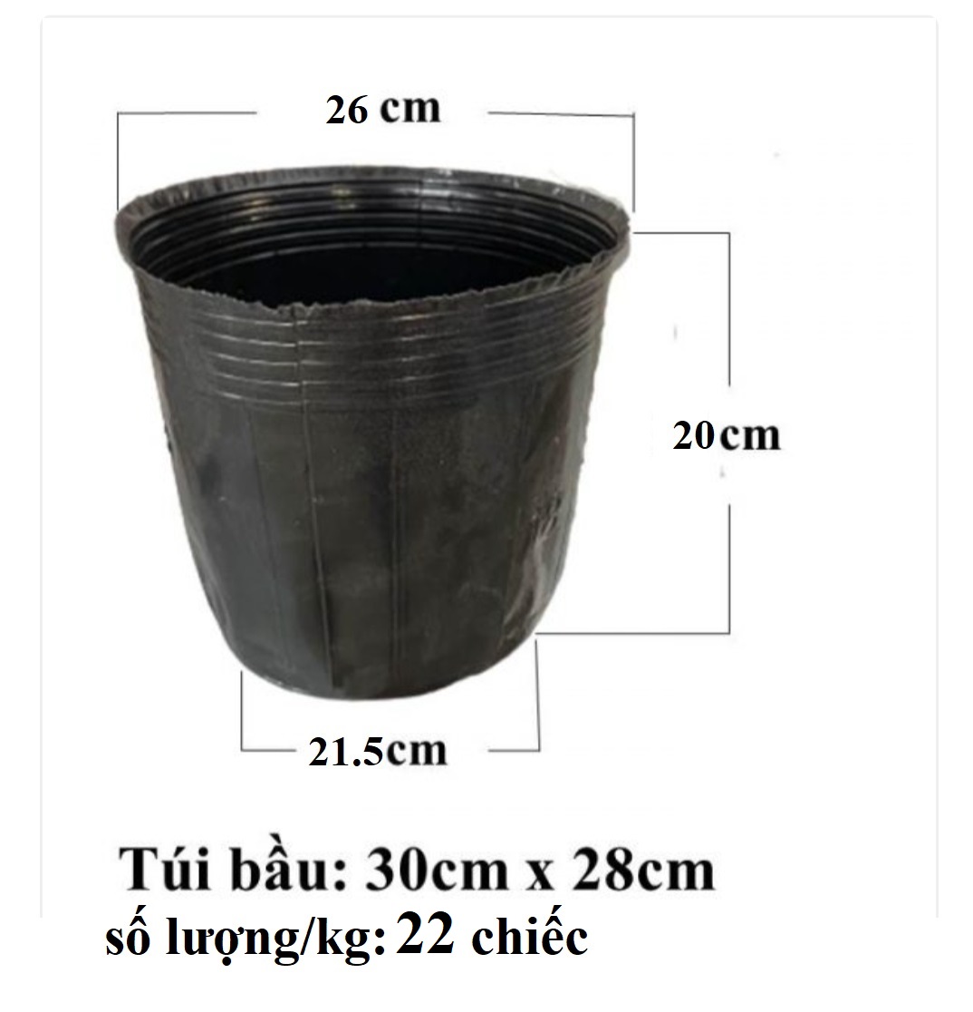 Set 2 chiếc Túi bầu ươm cây nilon đen 30*28 (KT 26*20*22cm)