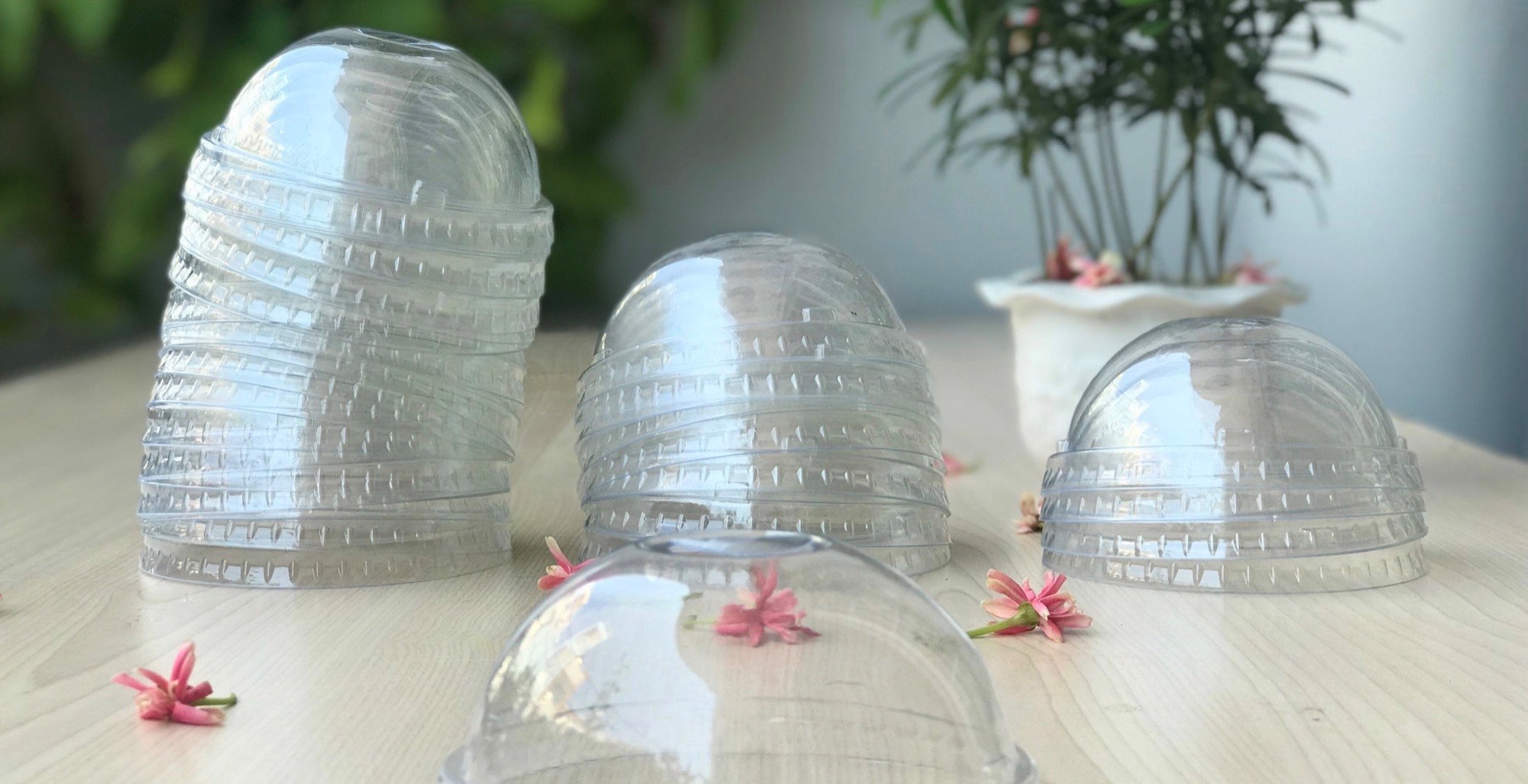 500 nắp cầu trà sữa phi 95
