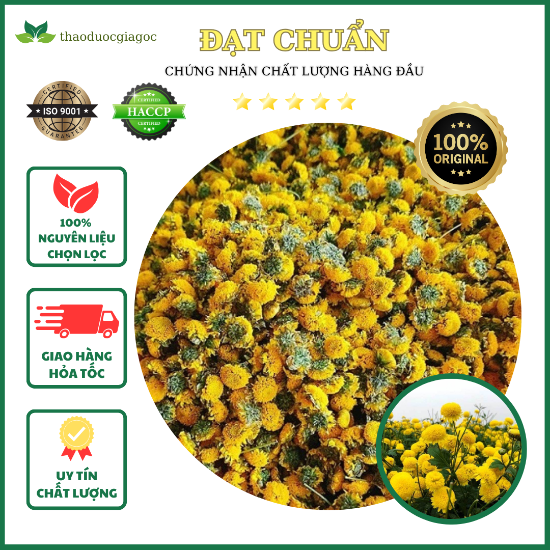 100Gr Cúc Chi Hưng Yên ( Cúc tiến vua ) thơm ngon hảo hạng loại 1