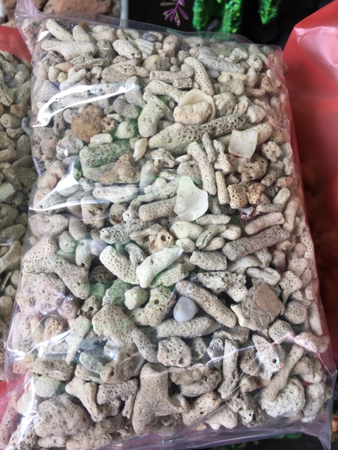 [HCM]San hô vụn 1kg