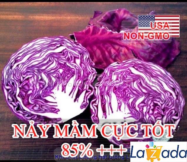 [HCM]BỘ 5GÓI 1Gr Hạt Giống Bắp Cải Tím Red (A5.204| C46*W51)