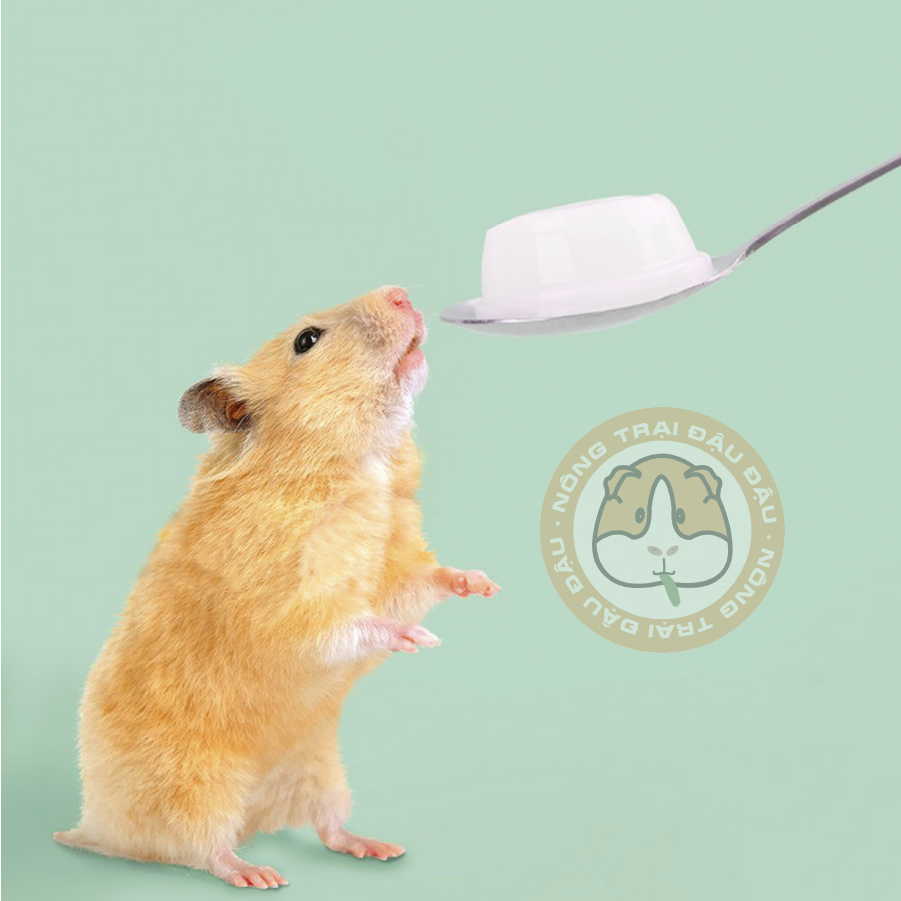 Pudding Sữa Dê Vỗ Béo Cho Hamster, Sóc Bay, Nhím