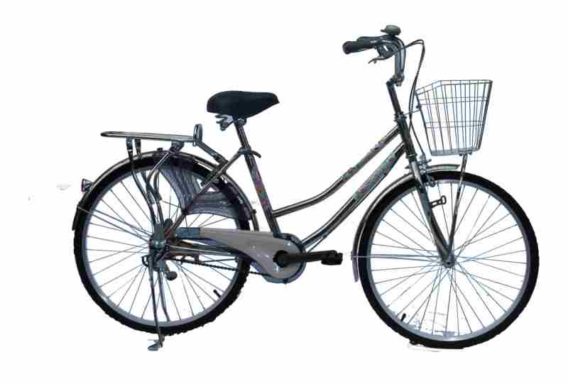 Phân phối Xe Đạp thời trang SMNBike MNI 24 inch