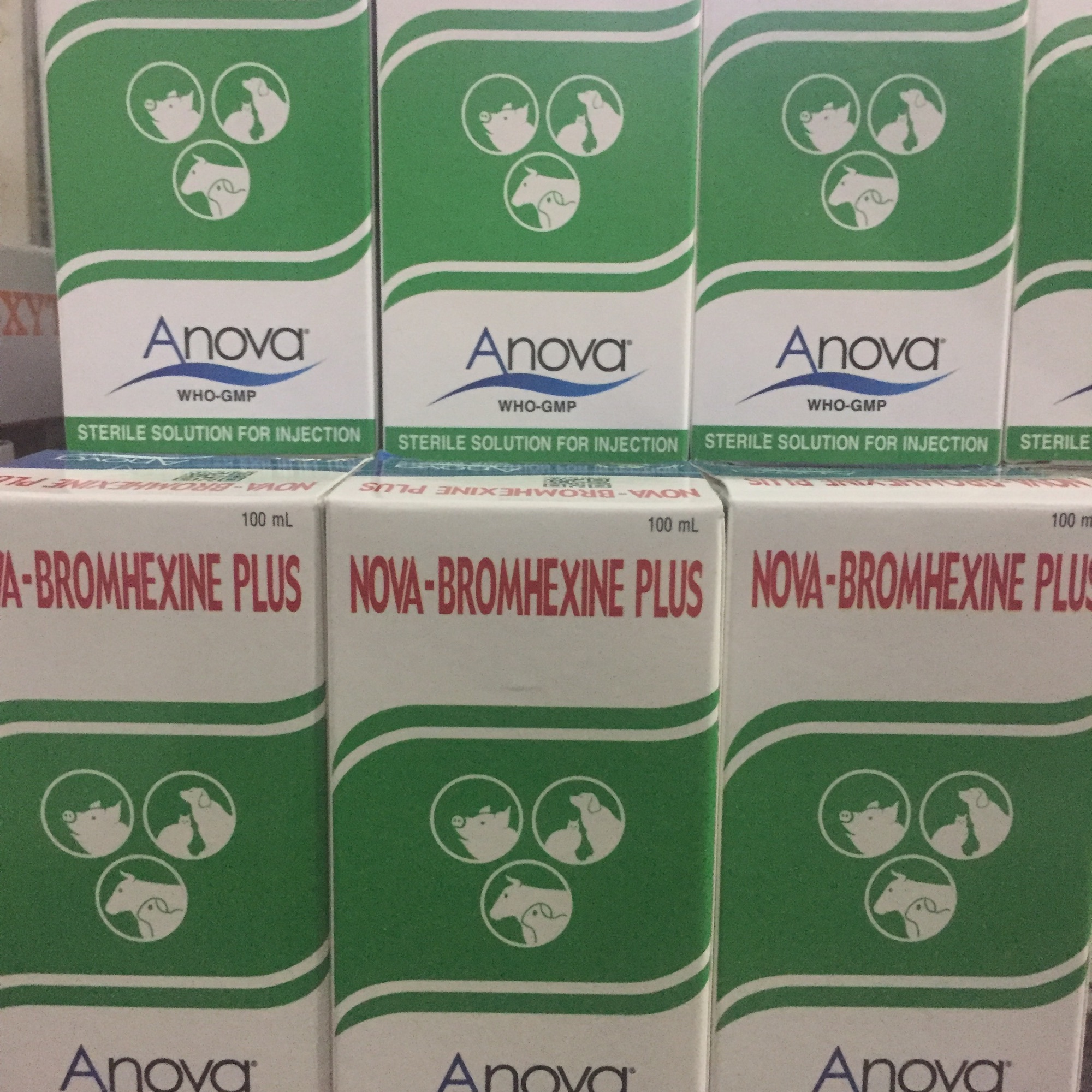 Bromhexine long đờm 100ml