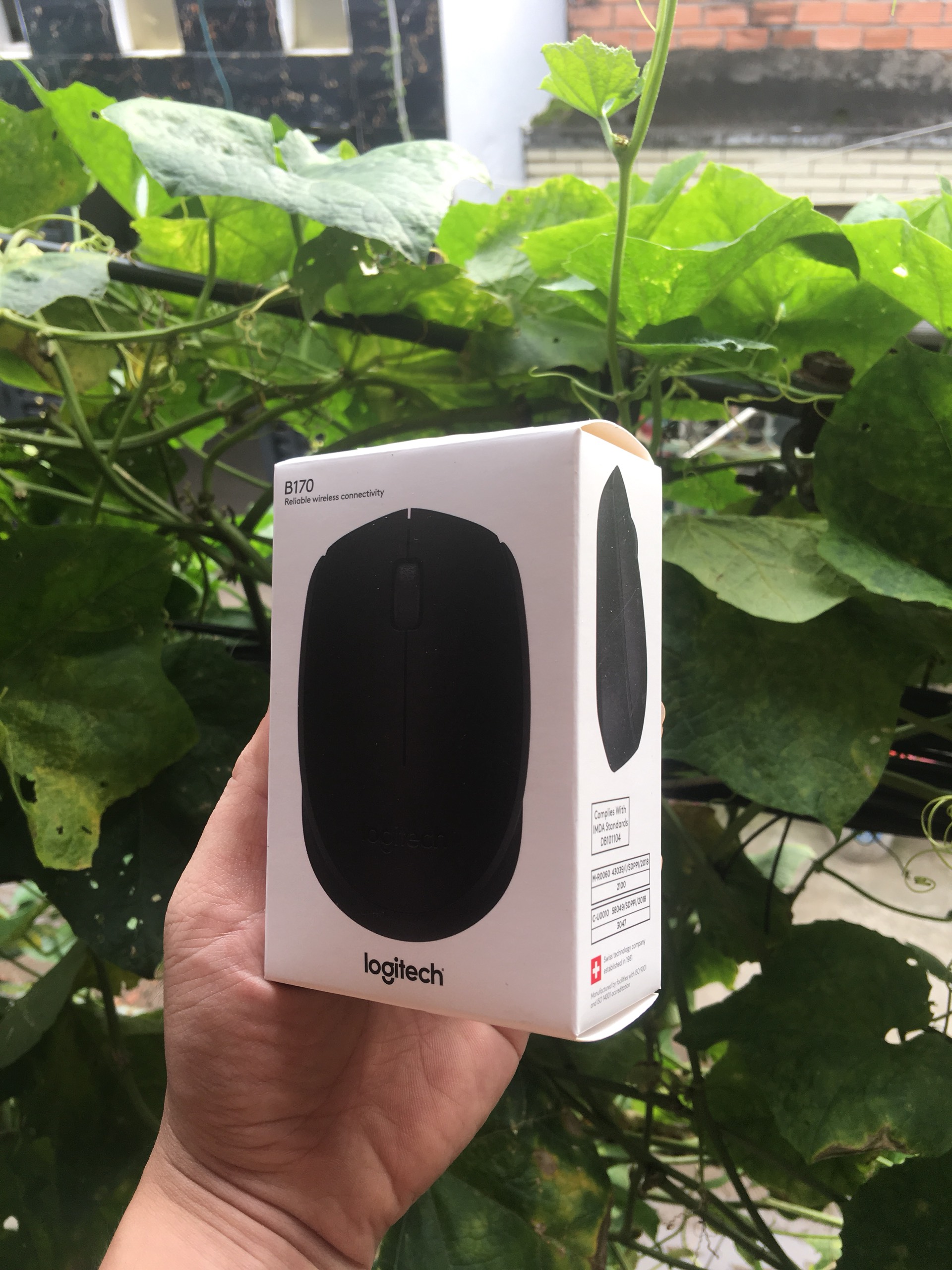 Chuột Không Dây Logitech B170
