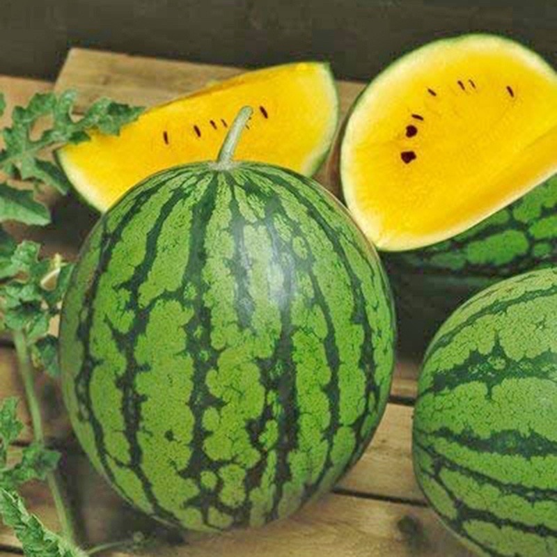 Hạt Giống Dưa Hấu Ruột Vàng (tặng kèm phân bón và thuốc kích mầm)