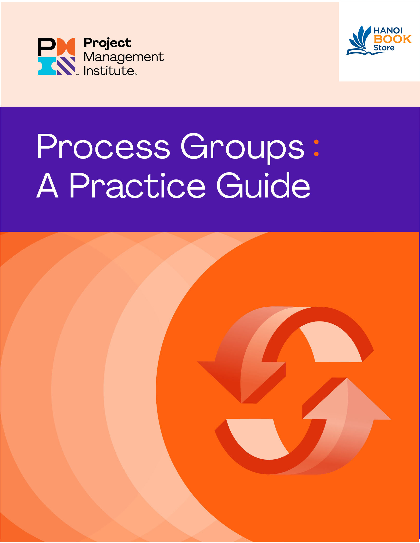 Process Groups A Practice Guide - HanoiBookstore