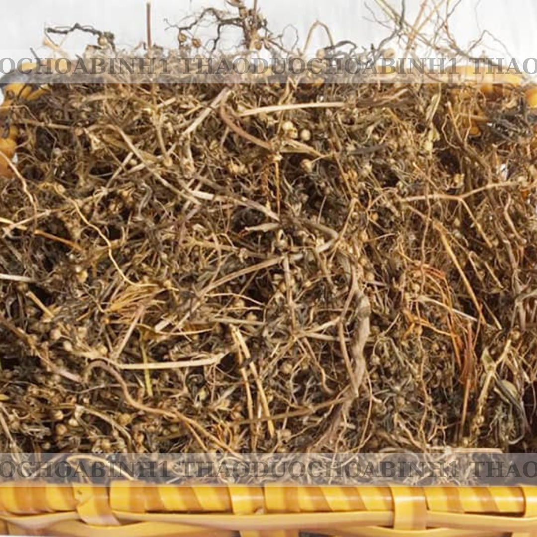 1kg bạch hoa xà thiệt thảo ( khô, sạch, đẹp)