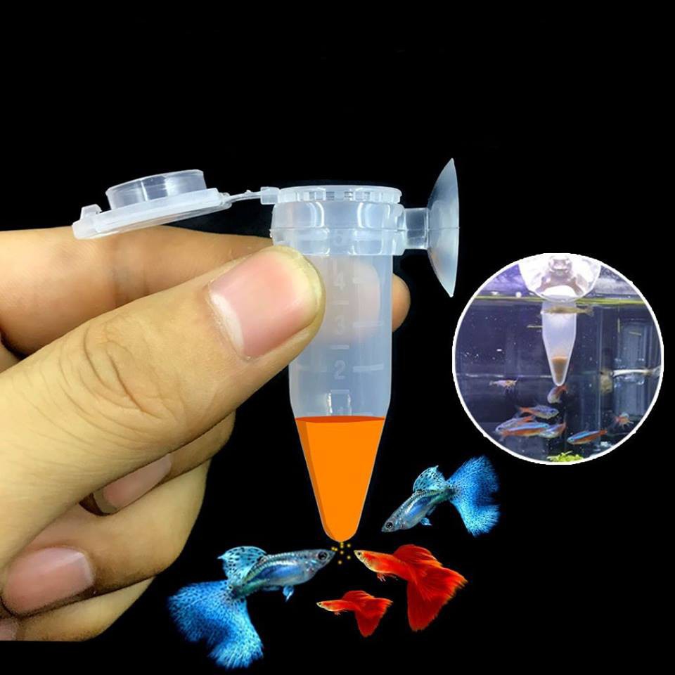 Ống đựng Artemia nhỏ giọt cho cá ăn