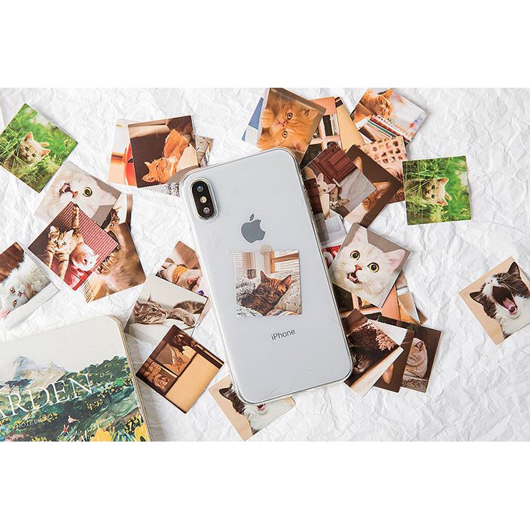 Bộ 46 Sticker Mèo Hàn Quốc dán trang trí E80