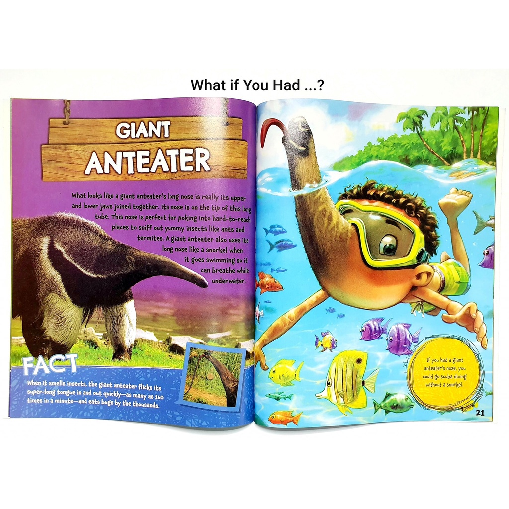 Bộ nhập 9q - What If You Had Animal