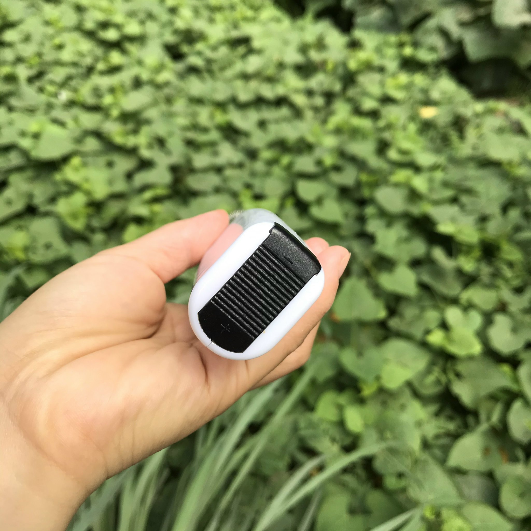 Máy đánh trứng mini cầm tay tạo bọt cà phê