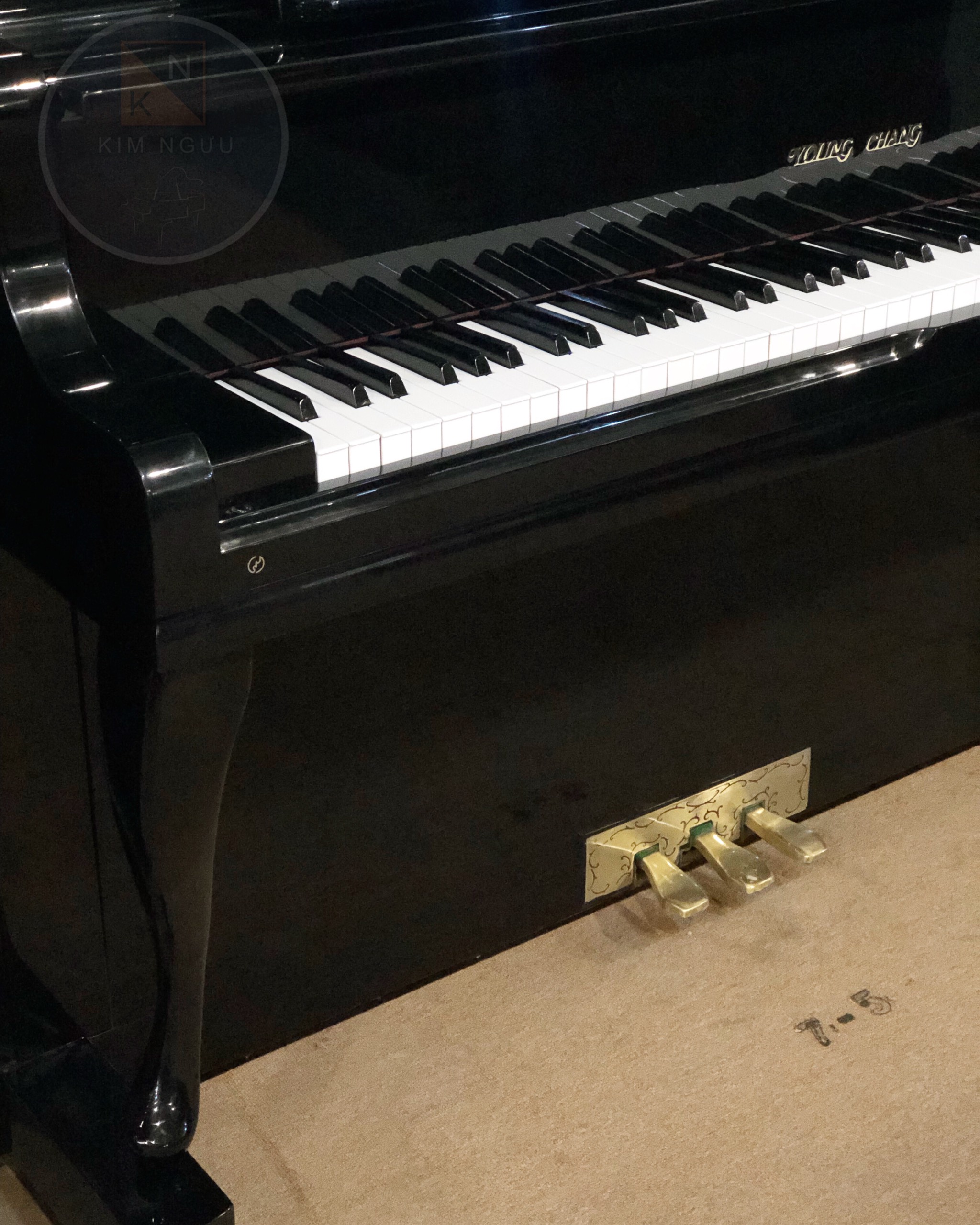 ĐÀN PIANO YOUNG CHANG U131