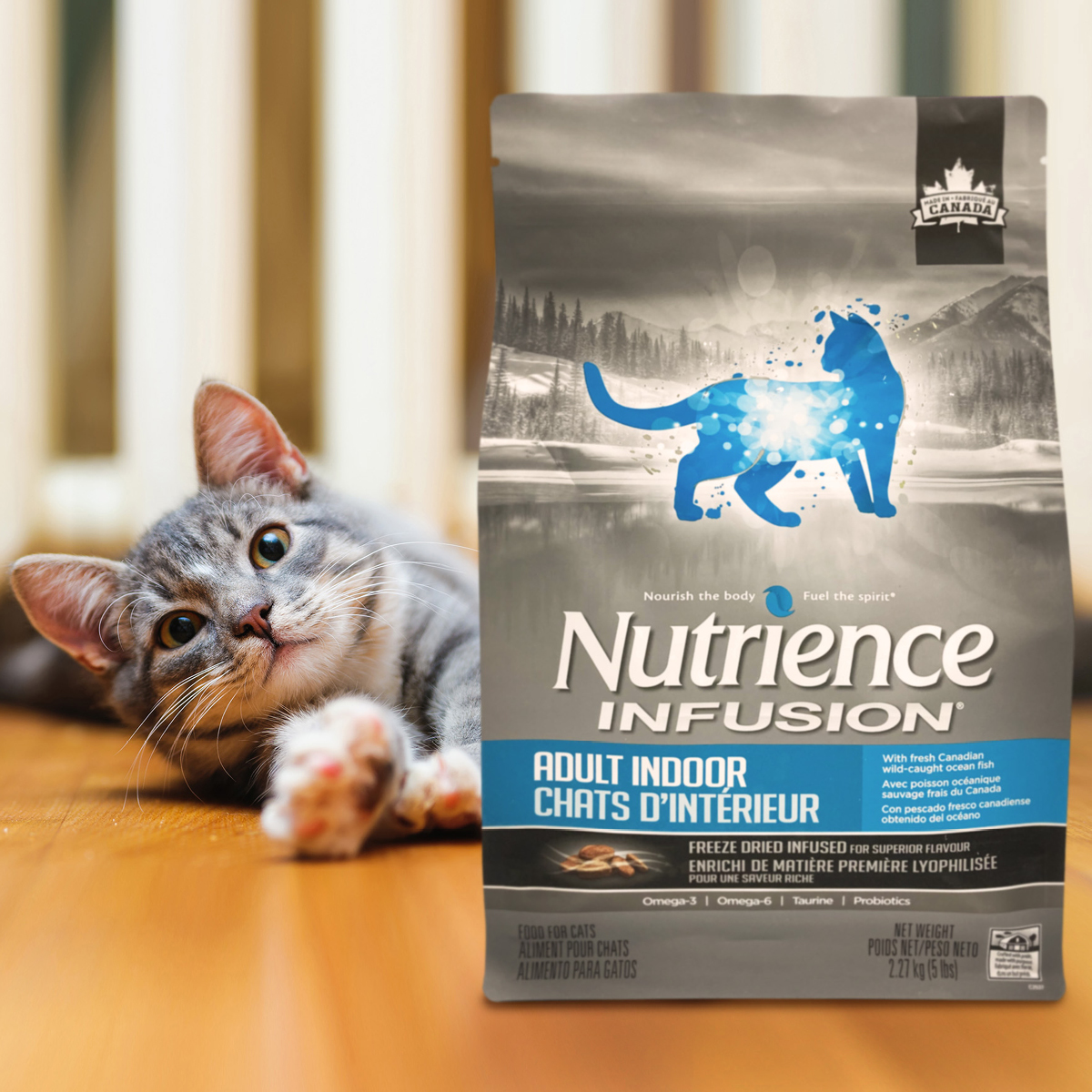 [Nguyên seal 2,27kg & 5kg] Thức ăn mèo NUTRIENCE INFUSION