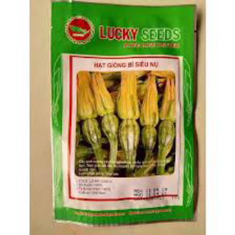 HẠT GIỐNG BÍ SIÊU NỤ GÓI 10 GRAM