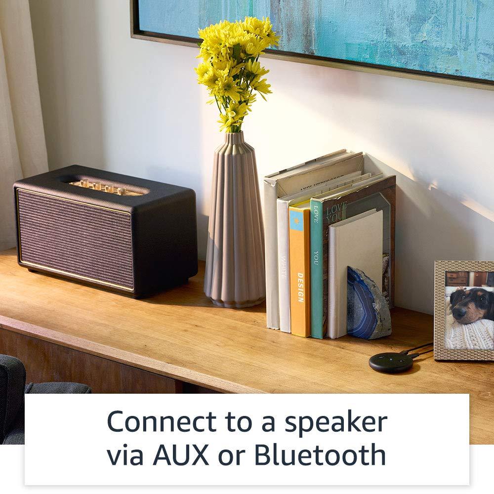 Thiết bị biến loa thường thanh loa thông minh amazon echo input