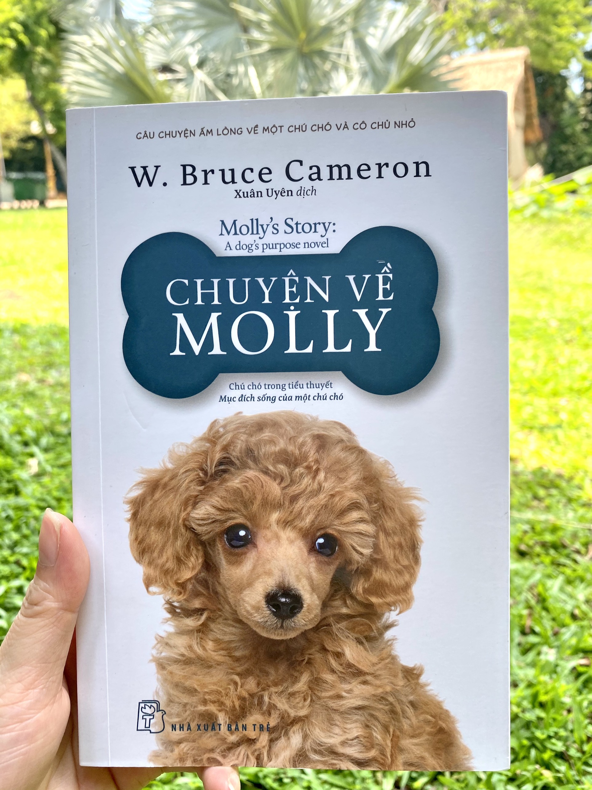 Chuyện Về Molly - W Bruce Cameron