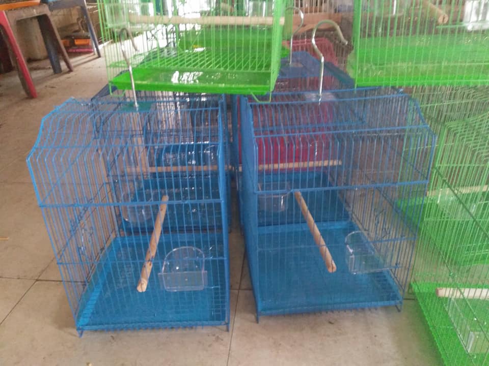 Lồng chim yến phụng lồng trung quốc