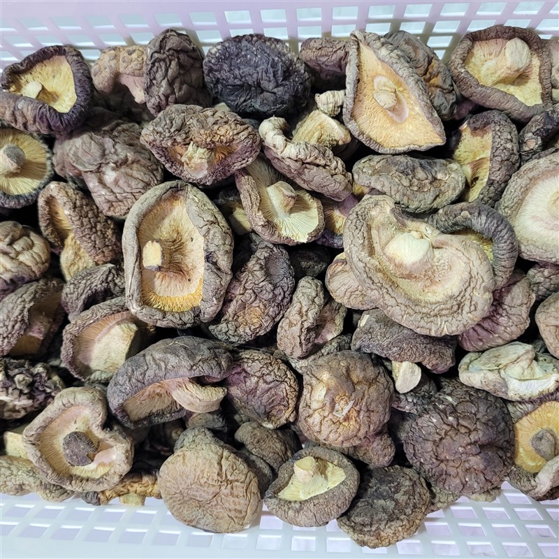 Túi 100gr nấm đông cô size trung loại 1