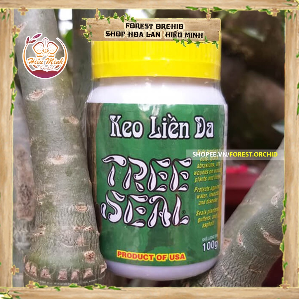 Keo liền sẹo Tree Seal USA Morrisons nhập khẩu