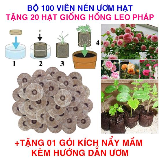 Bộ 100 viên nén ươm hạt (tặng 20 Hạt giống Hoa hồng Leo Pháp + Kích thích nẩy mầm, Hướng dẫn)