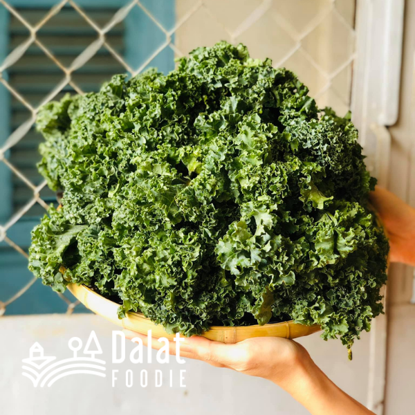 Cải Xoăn Kale hữu cơ 250G - [Giao hàng ngay tại TPHCM, Hà Nội]