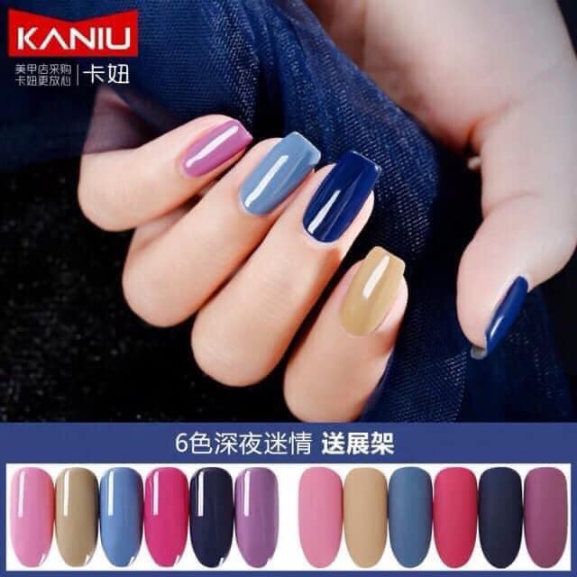 Sơn Gel KaNiu Set 06 chai 15ml