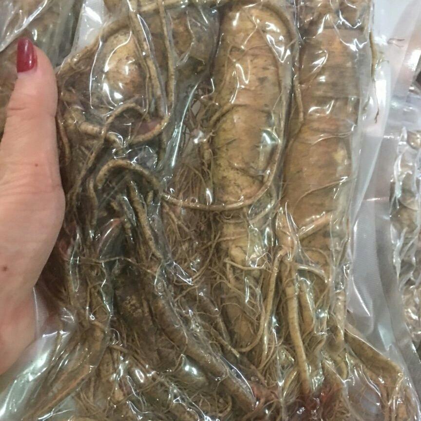 1kg sâm đương quy