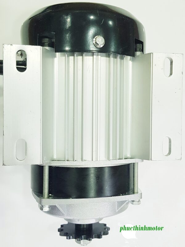 Động cơ 48V750W không chổi than
