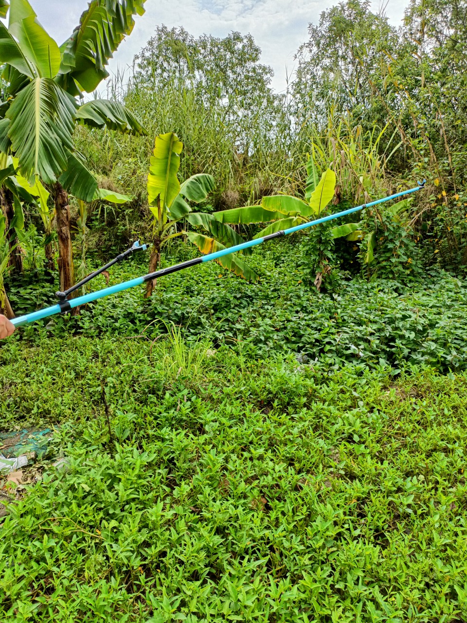 Gác Cần Woding săn hàng cao cấp mới siêu cứng,chắc chắn