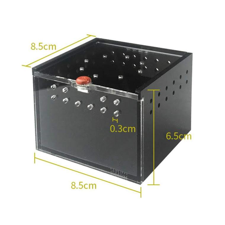 Hộp nuôi nhện bọ cạp bò sát nhỏ