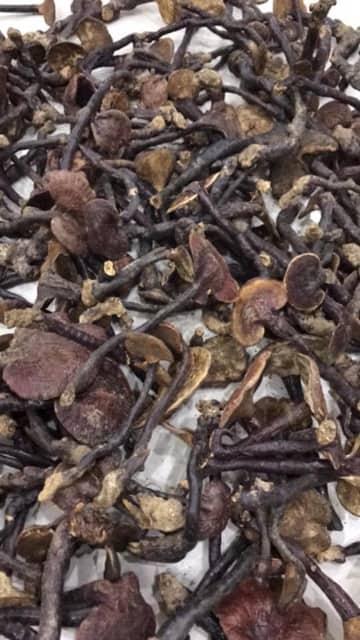nấm lim xanh 100g