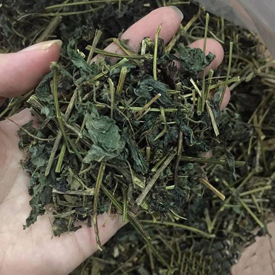 GIảo cổ lam khô Phòng ngừa ung thư cực tốt