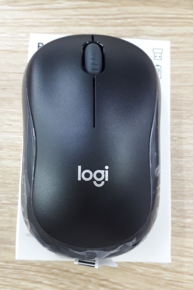 Chuột Không Dây Logitech B175 Chính Hãng