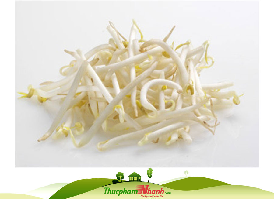 [Chỉ Giao HCM] - Giá sống - 400g