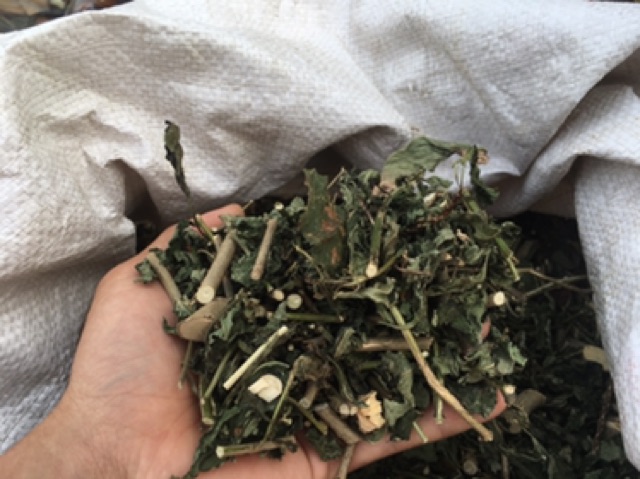 1KG CÂY ĐUÔI CHUỘT HOÀ BÌNH (KHÔ, XANH, SẠCH)