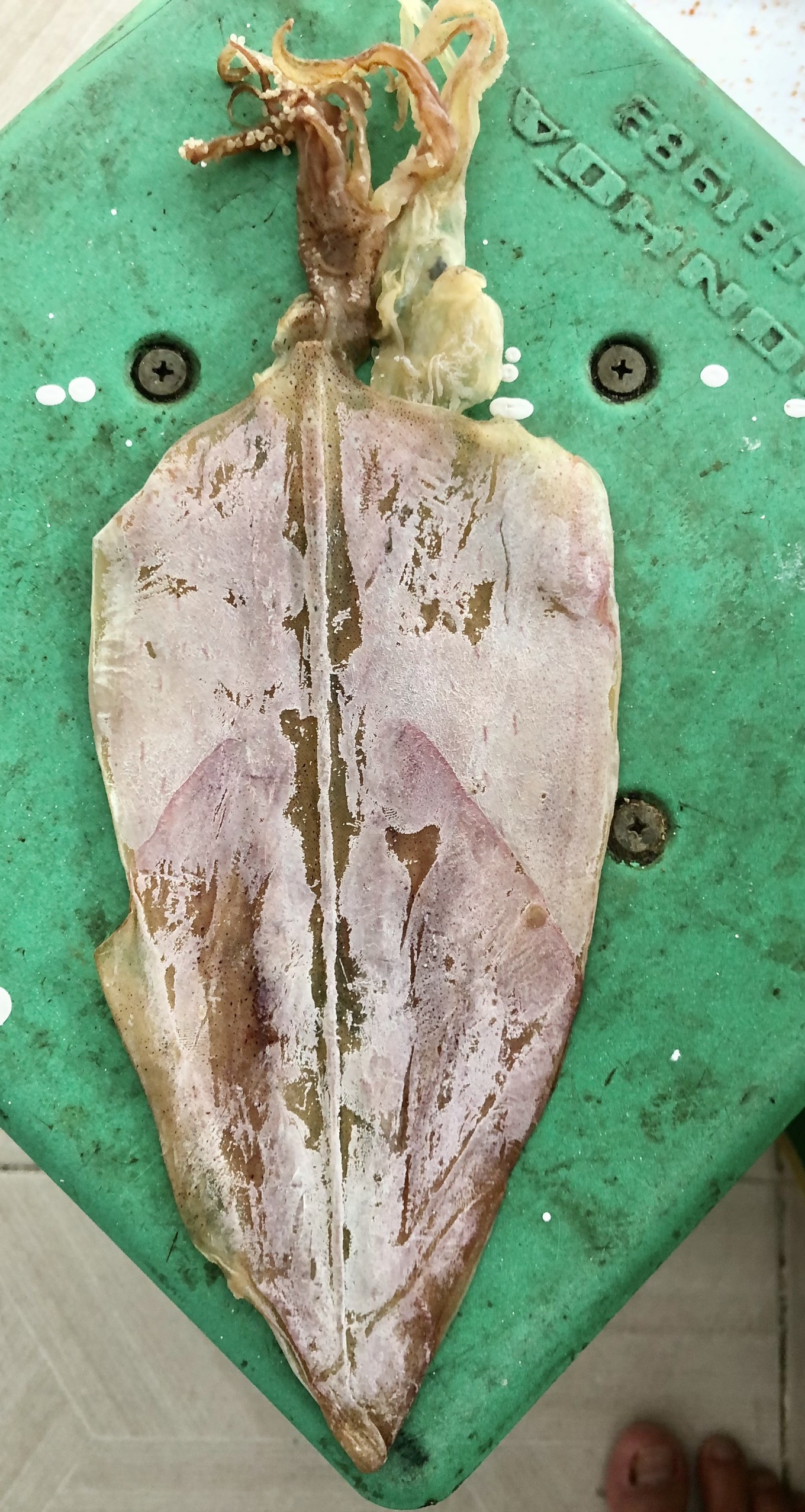 1kg Mực Khô Khánh hòa loại 20 con