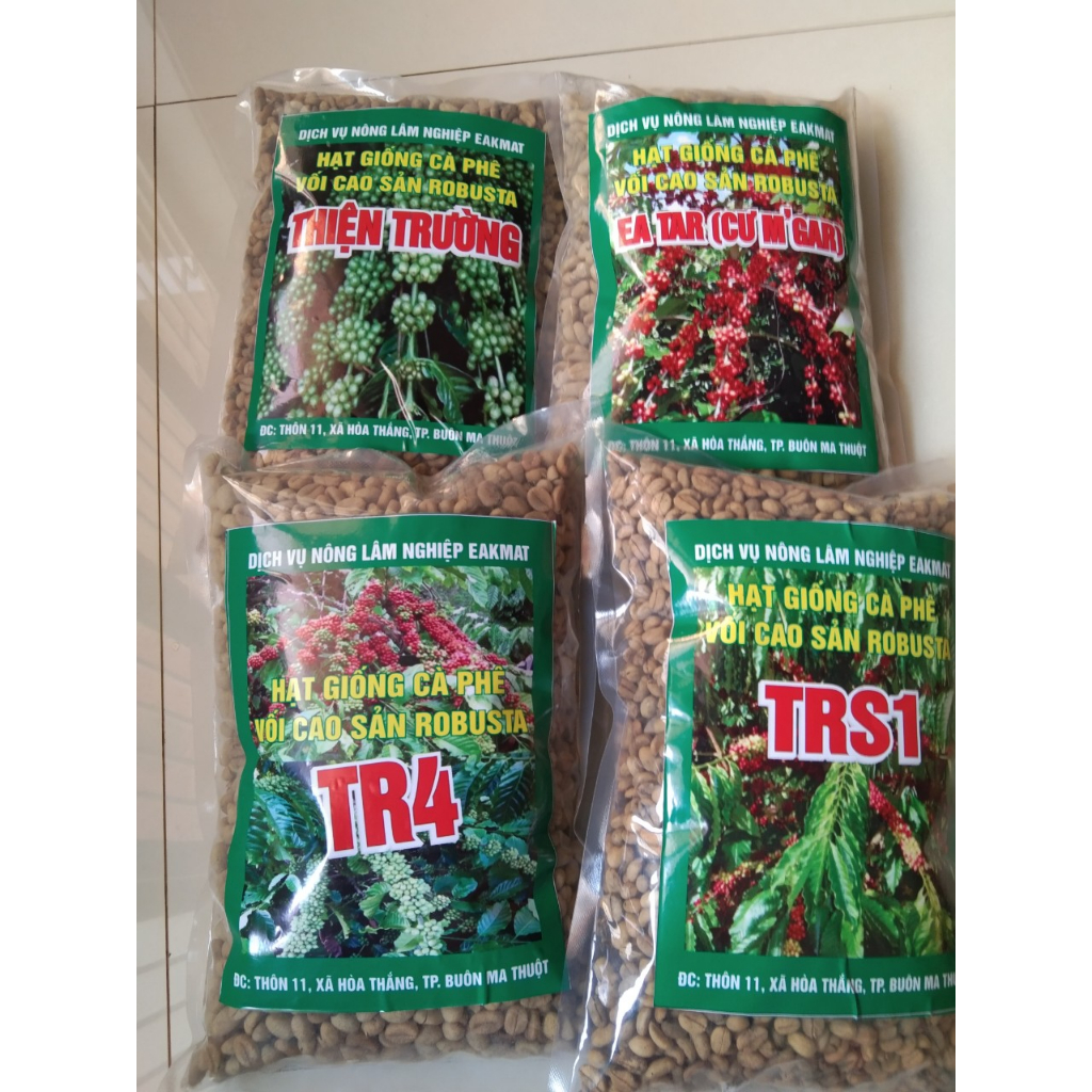 1kg HẠT GIỐNG CÀ PHÊ TR9