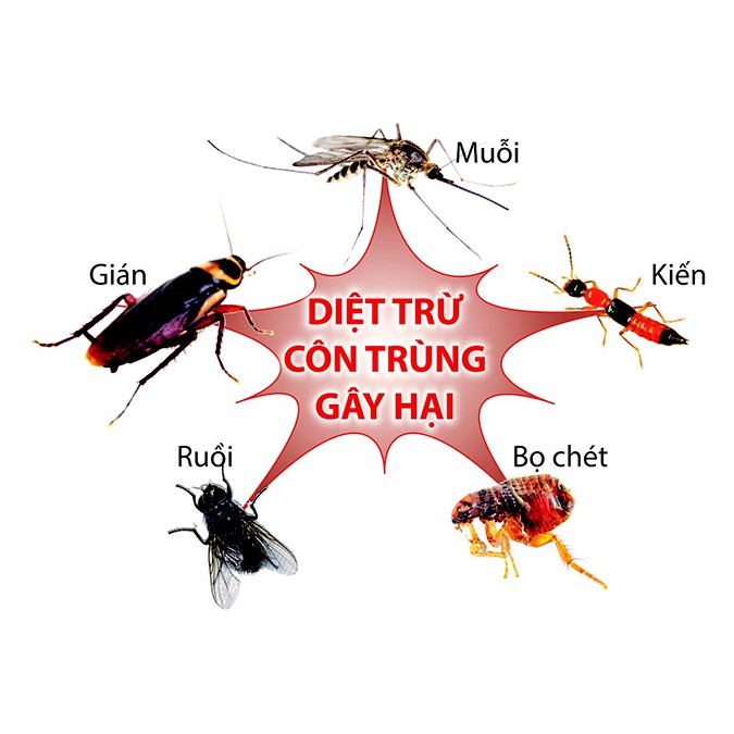 Bình Xịt Côn Trùng Raid Hương Cam Chanh -600ml