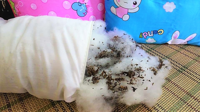 Gối đinh lăng cho bé 0-12 tháng