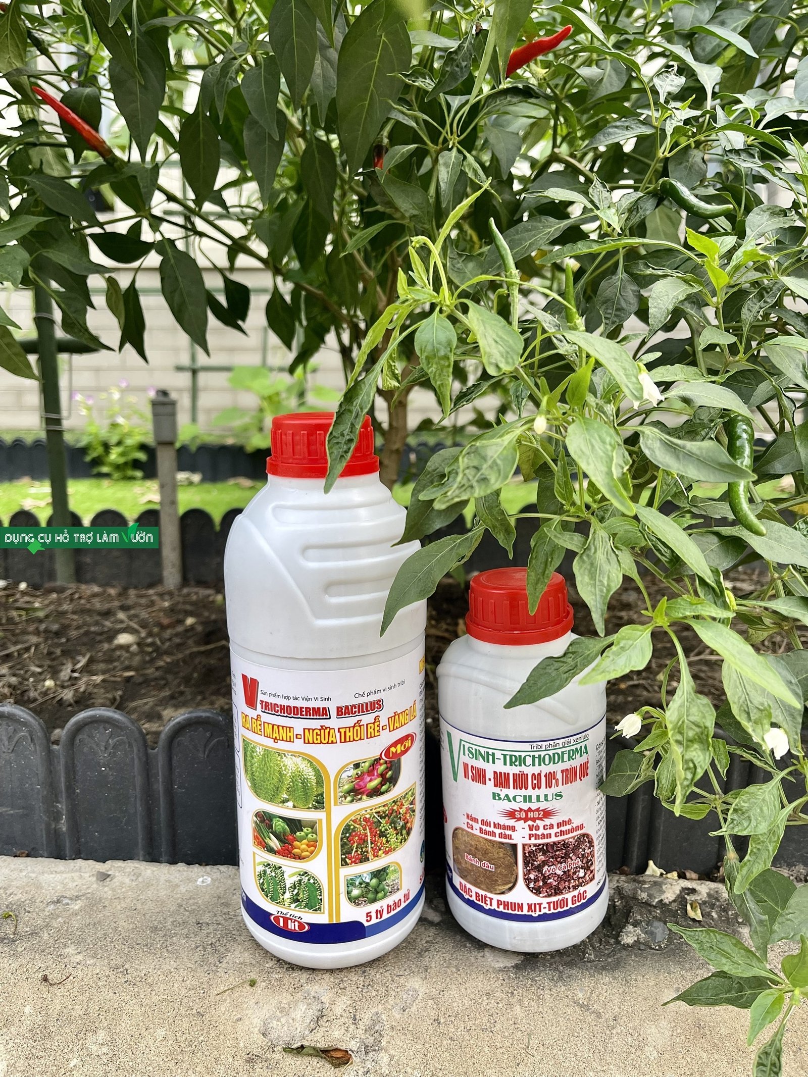 NẤM ĐỐI KHÁNG TRICHODERMA BACILLUS dạng nước chai 1000ml