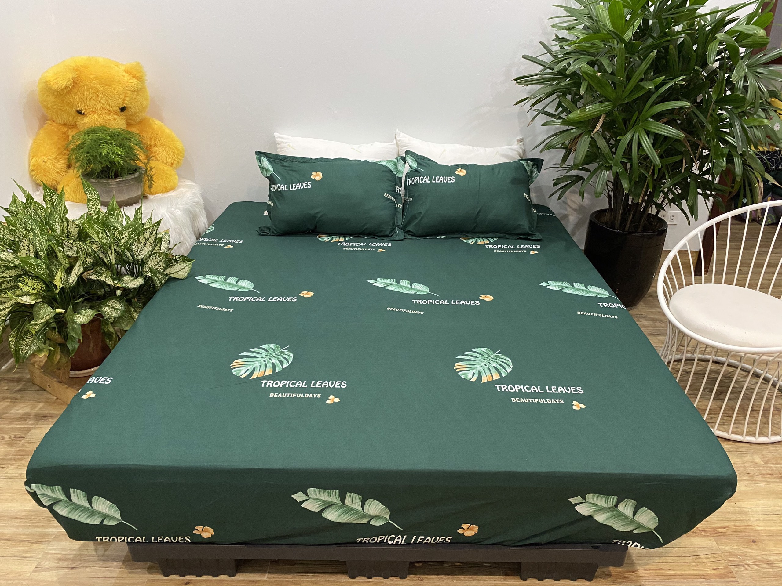 Set Ga Gối 3 Món (Gồm 1 Ga bo chun + 2 Vỏ Gối Nằm) Mẫu Lá Chuối CH219