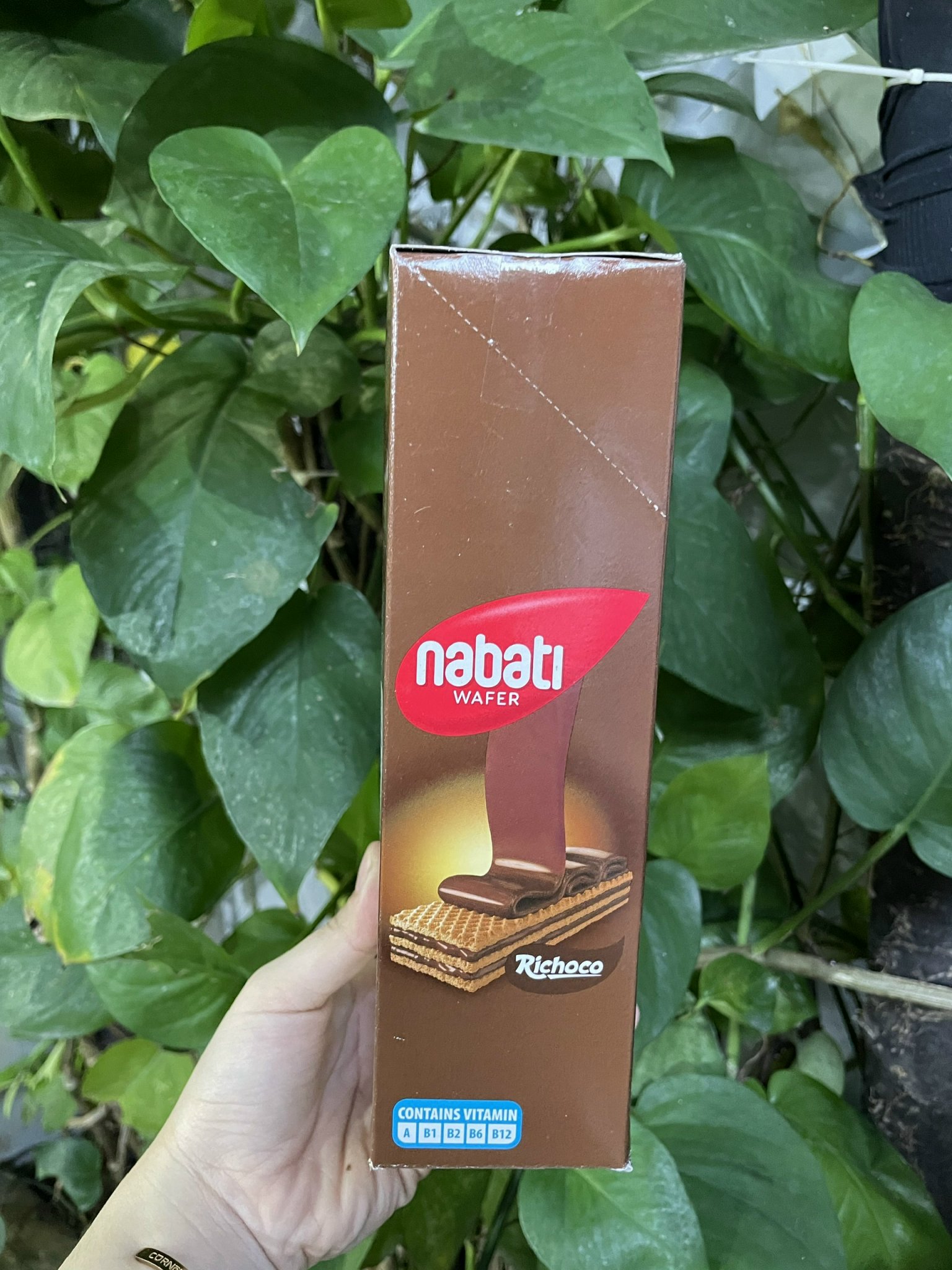 Bánh Sôcôla (Dạng Xốp) Richoco Nabati Chocolate Cream Wafer (Hộp 20 thanh x 15g)