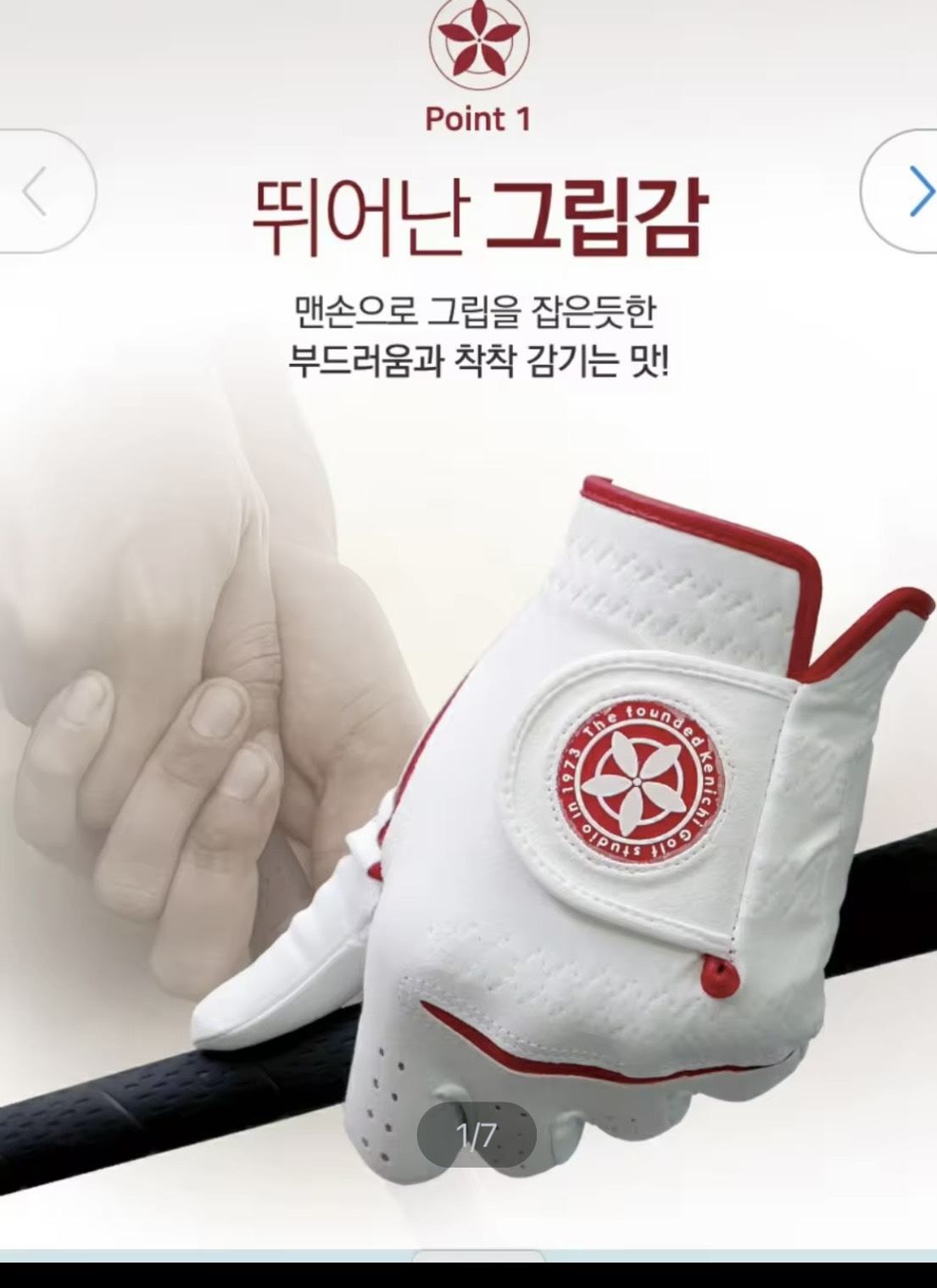 kenichi goloves 골프장갑
