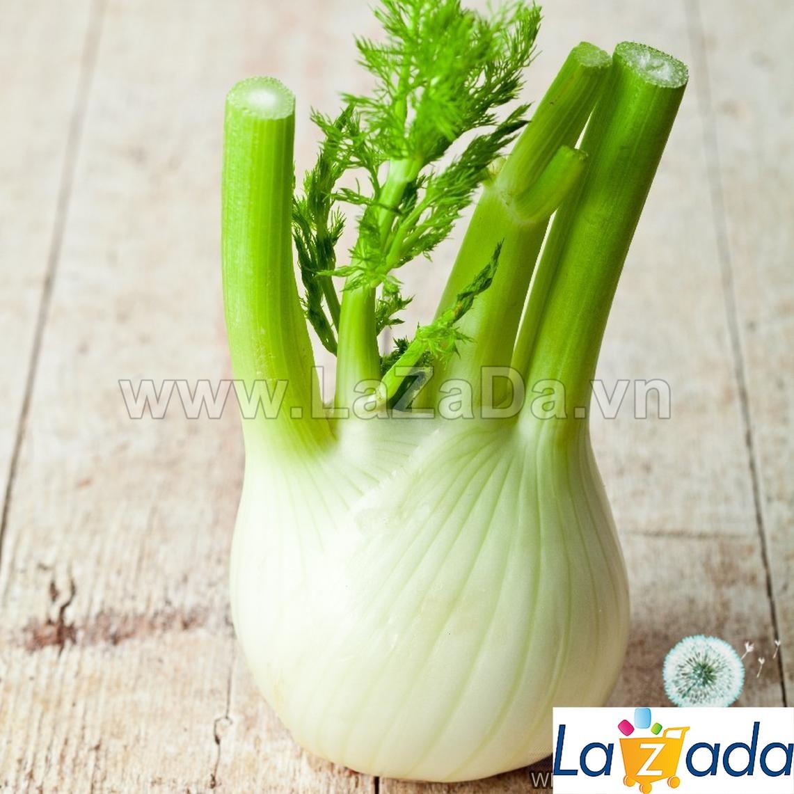 50h Hạt Giống Củ Hồi, Củ Thì Là Fennel Finnocchio (B3.104| C24*W21*M233)