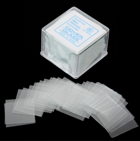 Lamen kính hiển vi